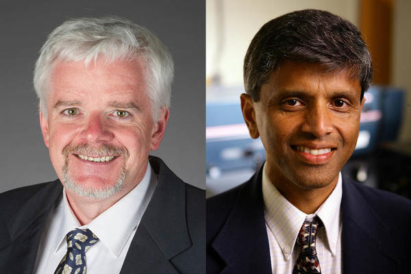 Notre Dame faculty named among the top one percent of highly cited researchers