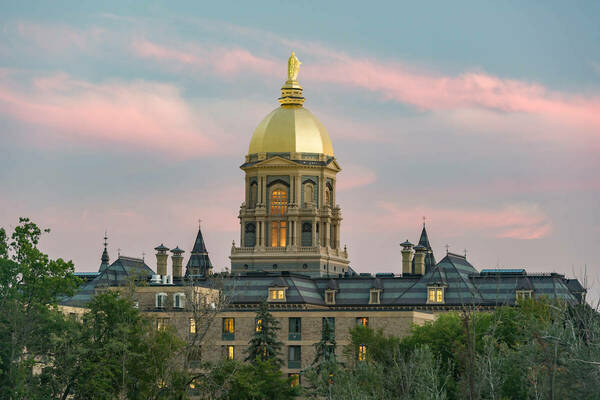 Notre Dame researchers awarded grants to study treatments for breast cancer