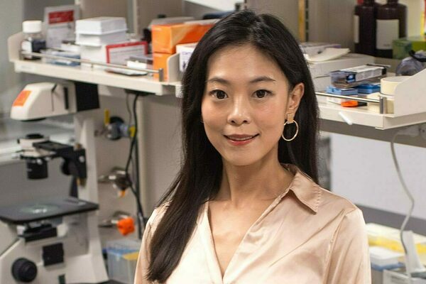 Yichun Wang receives NSF CAREER award to engineer nanomaterials for drug delivery